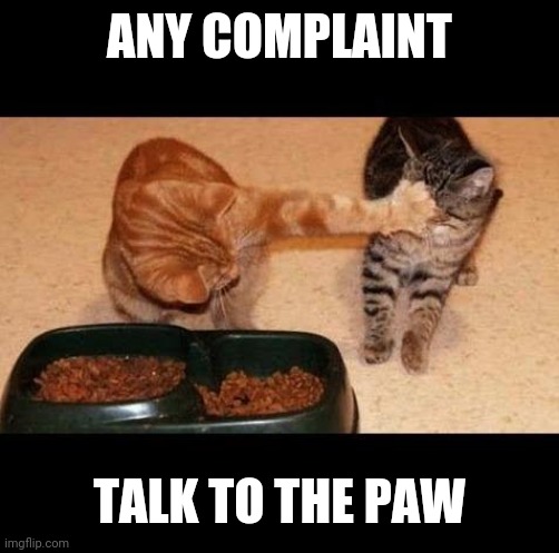 cats share food | ANY COMPLAINT; TALK TO THE PAW | image tagged in cats share food | made w/ Imgflip meme maker