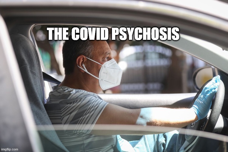 Wearing a mask and gloves in your car | THE COVID PSYCHOSIS | image tagged in wearing a mask and gloves in your car | made w/ Imgflip meme maker