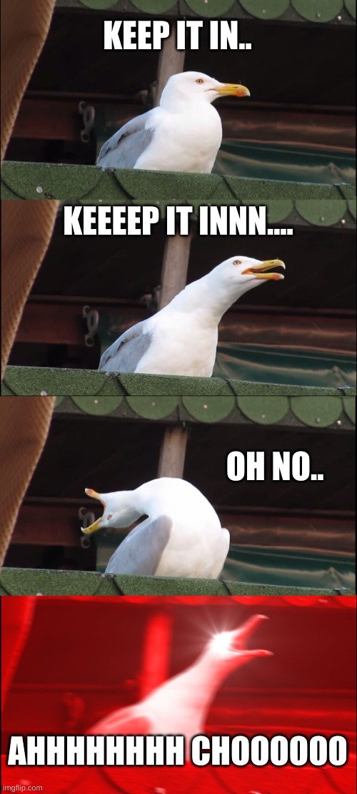 bless you | KEEP IT IN.. KEEEEP IT INNN.... OH NO.. AHHHHHHHH CHOOOOOO | image tagged in memes,inhaling seagull | made w/ Imgflip meme maker