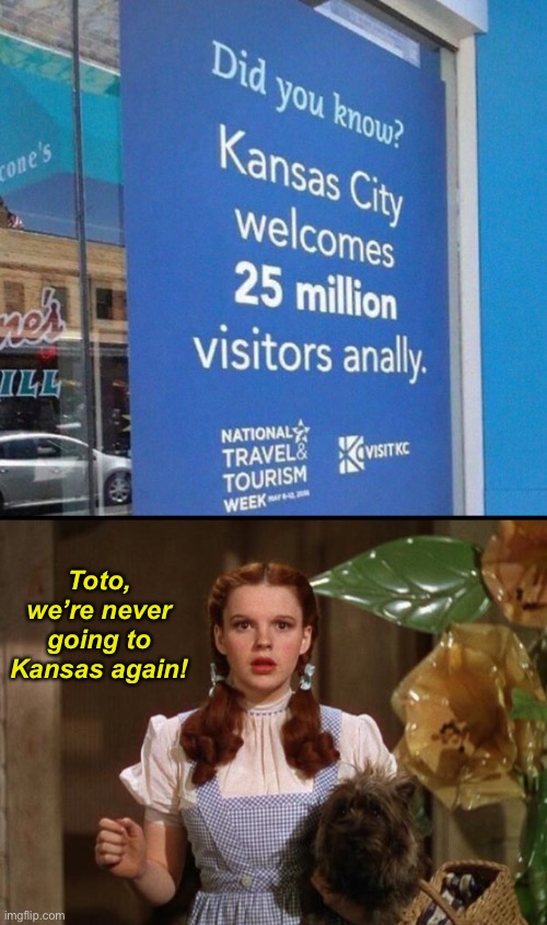 That’s Too Many Visitors! | Toto, we’re never going to Kansas again! | image tagged in funny memes,wizard of oz,kansas | made w/ Imgflip meme maker