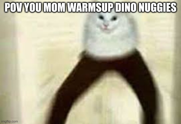 POV YOU MOM WARMSUP DINO NUGGIES | image tagged in cats | made w/ Imgflip meme maker