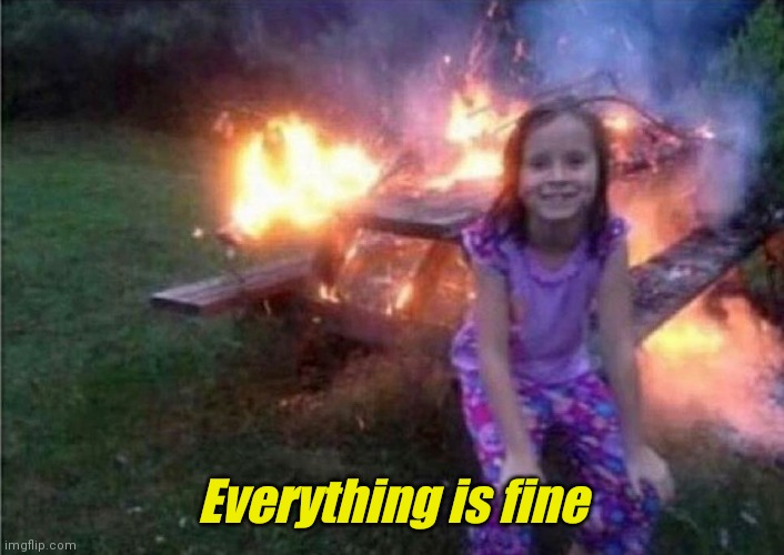 Everything is fine | Everything is fine | image tagged in everything is fine | made w/ Imgflip meme maker