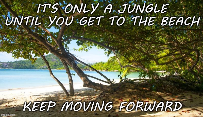 Hang in there | IT'S ONLY A JUNGLE UNTIL YOU GET TO THE BEACH; KEEP MOVING FORWARD | image tagged in jungle | made w/ Imgflip meme maker