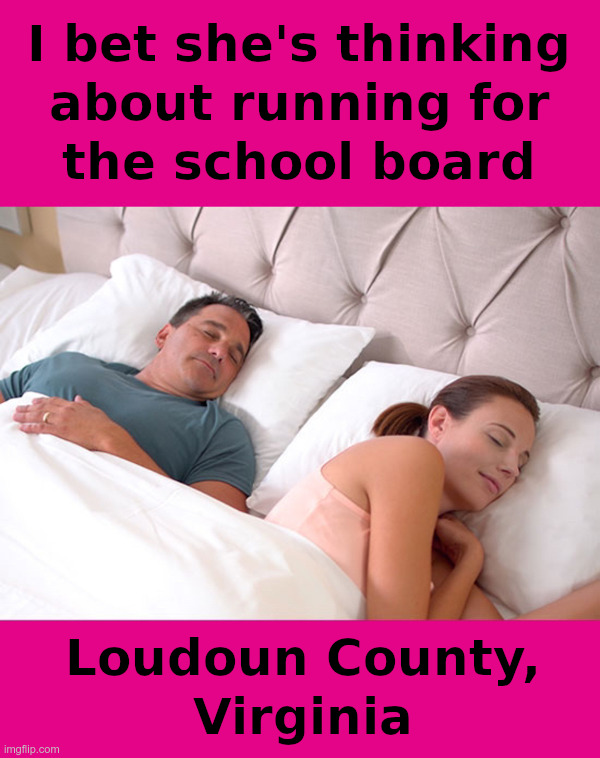 Loudoun County, Virginia School Board | image tagged in virginia,school board,election,mypillow,merrick garland,terrorists | made w/ Imgflip meme maker