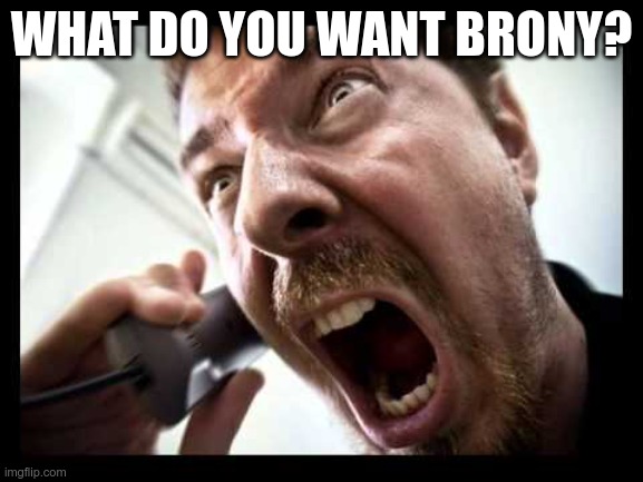 Phone scream | WHAT DO YOU WANT BRONY? | image tagged in phone scream | made w/ Imgflip meme maker