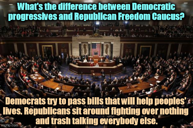 Talk about things that matter, like parental leave or inequality, and Republicans howl. That's not fair! | What's the difference between Democratic progressives and Republican Freedom Caucus? Democrats try to pass bills that will help peoples' 

lives. Republicans sit around fighting over nothing 
and trash talking everybody else. | image tagged in congress,democrats,serious,republicans,silly | made w/ Imgflip meme maker