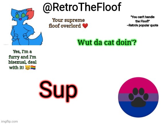 H i | Wut da cat doin'? Sup | image tagged in retrothefloof announcement template | made w/ Imgflip meme maker