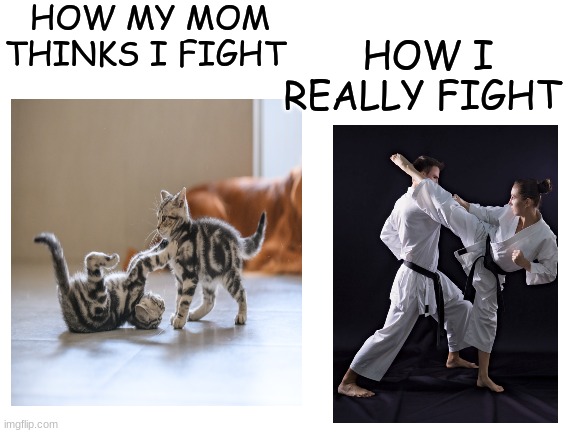 HOW MY MOM THINKS I FIGHT; HOW I REALLY FIGHT | made w/ Imgflip meme maker