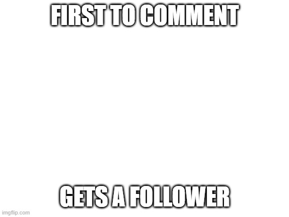 Blank White Template | FIRST TO COMMENT; GETS A FOLLOWER | image tagged in blank white template | made w/ Imgflip meme maker
