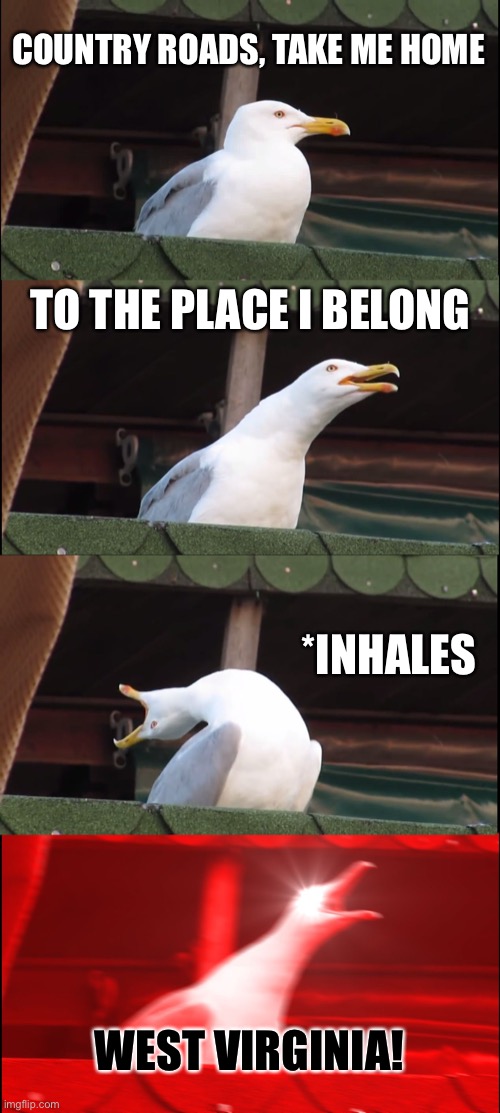 Inhaling Seagull | COUNTRY ROADS, TAKE ME HOME; TO THE PLACE I BELONG; *INHALES; WEST VIRGINIA! | image tagged in memes,inhaling seagull | made w/ Imgflip meme maker