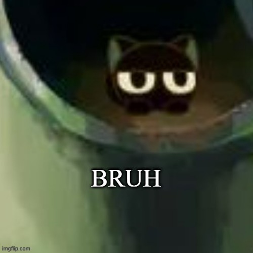 bruh xiao hei | image tagged in bruh xiao hei | made w/ Imgflip meme maker