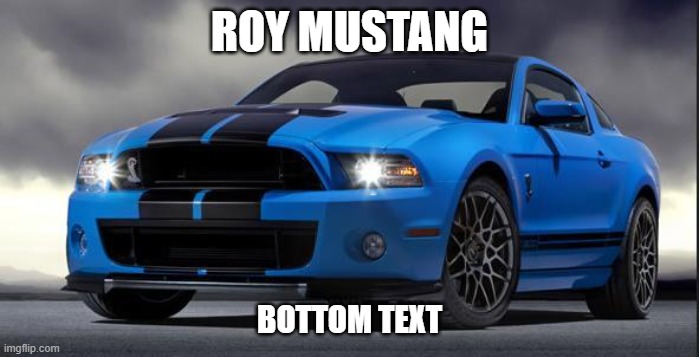 Mustang | ROY MUSTANG BOTTOM TEXT | image tagged in mustang | made w/ Imgflip meme maker