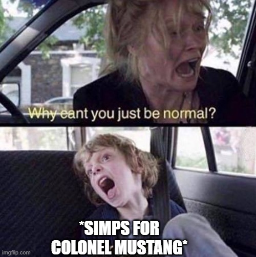 Why Can't You Just Be Normal | *SIMPS FOR COLONEL MUSTANG* | image tagged in why can't you just be normal | made w/ Imgflip meme maker