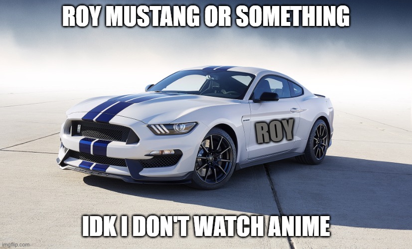 2015 Ford Mustang GT350 | ROY MUSTANG OR SOMETHING; ROY; IDK I DON'T WATCH ANIME | image tagged in 2015 ford mustang gt350 | made w/ Imgflip meme maker