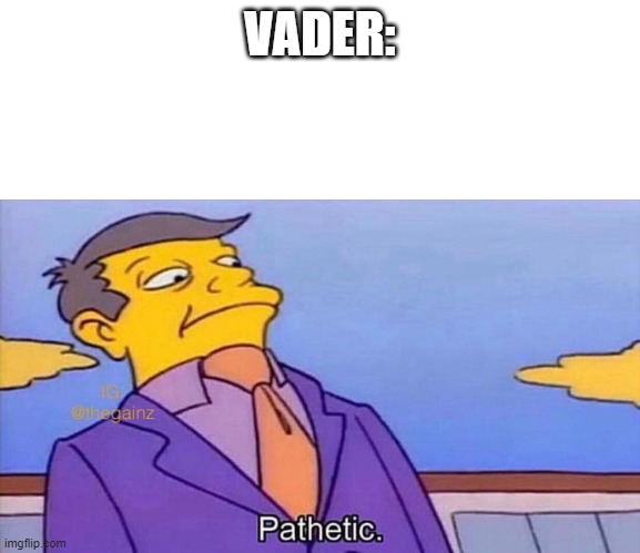 Pathetic | VADER: | image tagged in pathetic | made w/ Imgflip meme maker