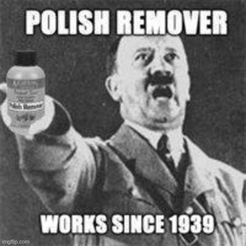It removes the Polish troops and Polish Citizens | image tagged in dark humor,polish,hitler | made w/ Imgflip meme maker