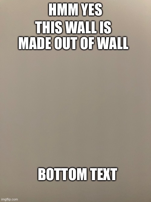 Wall | THIS WALL IS MADE OUT OF WALL; HMM YES; BOTTOM TEXT | image tagged in memes,wall | made w/ Imgflip meme maker