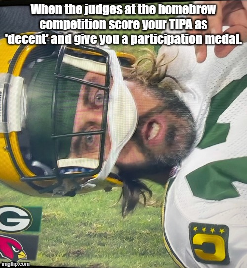 Homebrew competition surprise |  When the judges at the homebrew competition score your TIPA as 'decent' and give you a participation medal. | image tagged in surprised aaron rodgers,craft beer | made w/ Imgflip meme maker