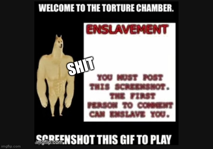 SHIT | made w/ Imgflip meme maker