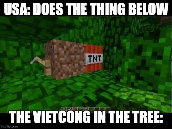 Why did I do this?! Day 1 | USA: DOES THE THING BELOW; THE VIETCONG IN THE TREE: | image tagged in 5 scariest booby traps of the vietnam war | made w/ Imgflip meme maker