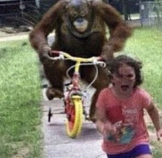 High Quality Little kid running from monkey Blank Meme Template
