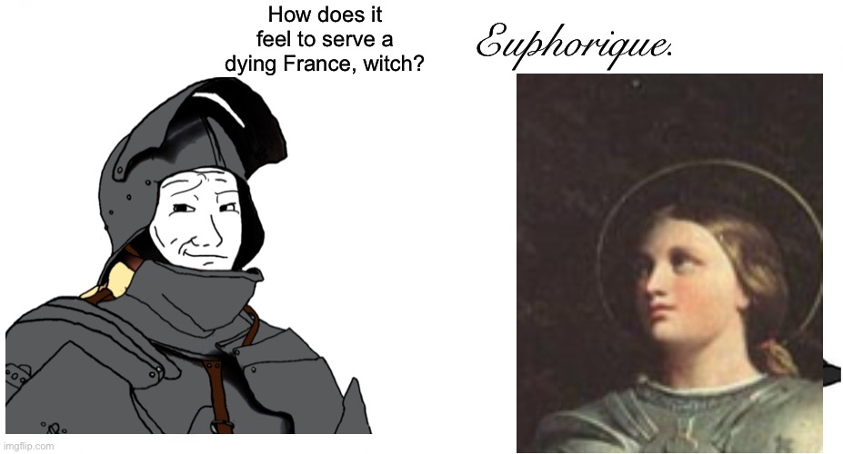 i was bored so here’s a history meme | How does it feel to serve a dying France, witch? Euphorique. | image tagged in how does it feel to serve a dying imperium loyalist,history memes | made w/ Imgflip meme maker