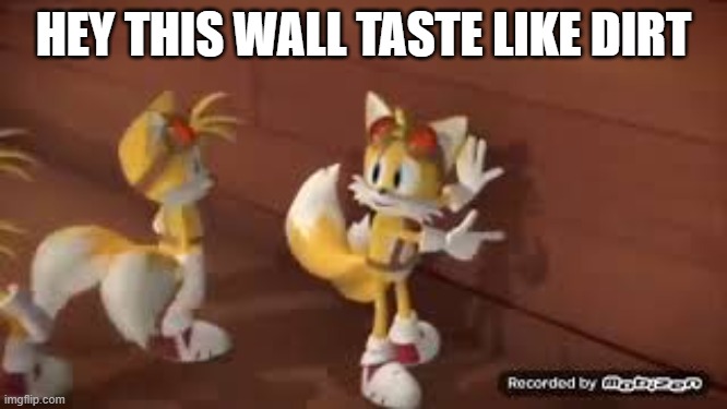 Hey this wall taste like dirt | HEY THIS WALL TASTE LIKE DIRT | image tagged in hey this wall taste like dirt | made w/ Imgflip meme maker
