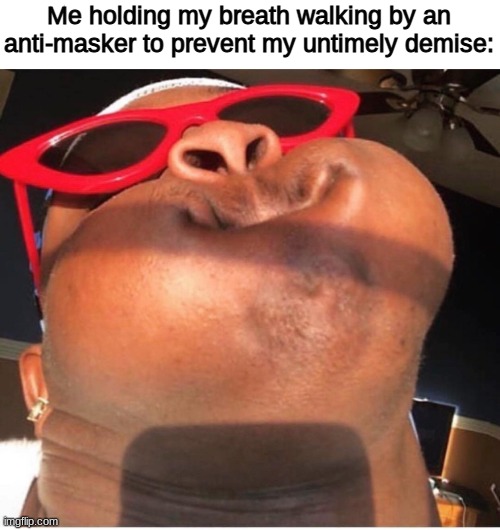 funny | Me holding my breath walking by an anti-masker to prevent my untimely demise: | image tagged in hold breathe,dank memes | made w/ Imgflip meme maker