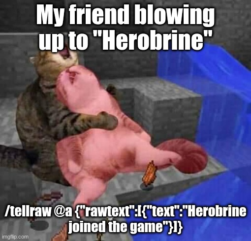 This is actually a true story and a prank people use, it's actually kinda mean |  My friend blowing up to "Herobrine"; /tellraw @a {"rawtext":[{"text":"Herobrine joined the game"}]} | image tagged in dead minecraft cat meme | made w/ Imgflip meme maker