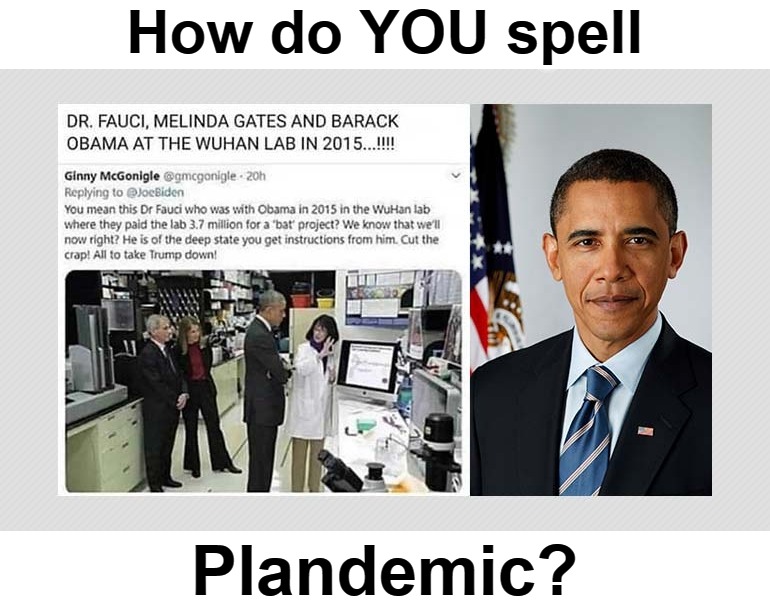 How do YOU spell "plandemic?" | How do YOU spell; Plandemic? | image tagged in dr fauci,bill gates,melinda gates,barack obama,plandemic,scamdemic | made w/ Imgflip meme maker