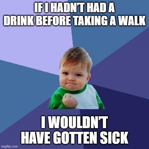 WOULD | IF I HADN’T HAD A DRINK BEFORE TAKING A WALK; I WOULDN’T HAVE GOTTEN SICK | image tagged in memes,success kid | made w/ Imgflip meme maker