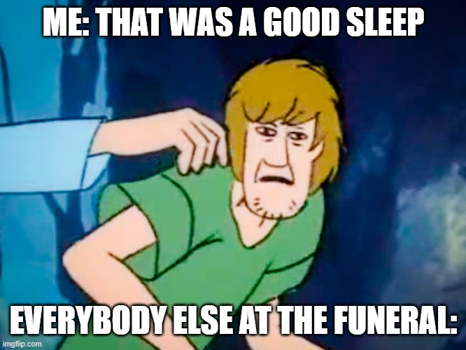 look0988 | ME: THAT WAS A GOOD SLEEP; EVERYBODY ELSE AT THE FUNERAL: | image tagged in shaggy meme | made w/ Imgflip meme maker