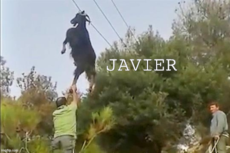 he returns | JAVIER | image tagged in juan,goat,spanish | made w/ Imgflip meme maker