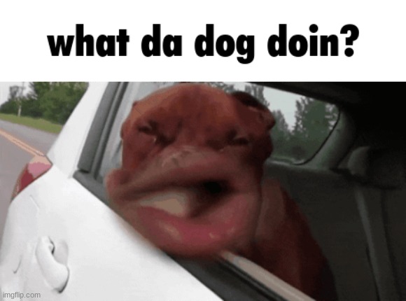 what da dog doin? | image tagged in dog,window,lips,memes | made w/ Imgflip meme maker