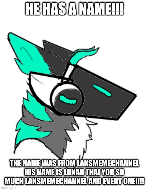 Thank you LAKSmemechannel for the name! | HE HAS A NAME!!! THE NAME WAS FROM LAKSMEMECHANNEL HIS NAME IS LUNAR THAI YOU SO MUCH LAKSMEMECHANNEL AND EVERY ONE!!!! | image tagged in furry,furries | made w/ Imgflip meme maker