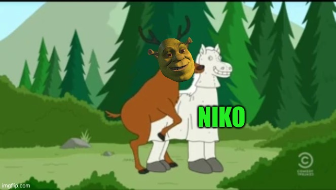 NIKO | made w/ Imgflip meme maker