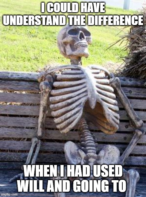 Waiting Skeleton | I COULD HAVE UNDERSTAND THE DIFFERENCE; WHEN I HAD USED WILL AND GOING TO | image tagged in memes,waiting skeleton | made w/ Imgflip meme maker