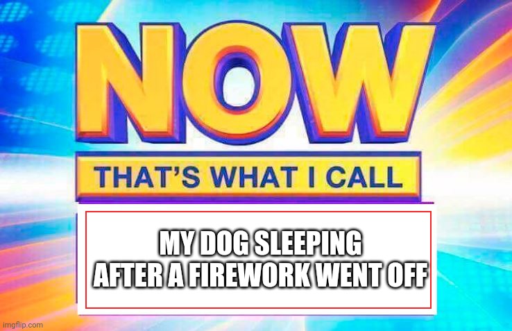 Now That’s What I Call | MY DOG SLEEPING AFTER A FIREWORK WENT OFF | image tagged in now that s what i call | made w/ Imgflip meme maker