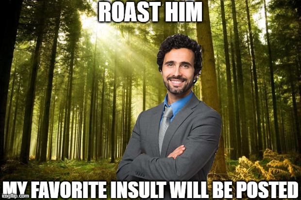 sunlit forest | ROAST HIM; MY FAVORITE INSULT WILL BE POSTED | image tagged in sunlit forest,roast me | made w/ Imgflip meme maker
