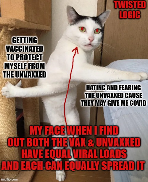 The Twisted logic of the ill informed contradicting themselves and then feeling like morons afterwards. | TWISTED LOGIC; GETTING VACCINATED TO PROTECT MYSELF FROM THE UNVAXXED; HATING AND FEARING THE UNVAXXED CAUSE THEY MAY GIVE ME COVID; MY FACE WHEN I FIND OUT BOTH THE VAX & UNVAXXED HAVE EQUAL VIRAL LOADS AND EACH CAN EQUALLY SPREAD IT | image tagged in cat twisted can't decide cannot,twisted logic,contradiction,equal viral loads,anti-vaxx,pro-vax | made w/ Imgflip meme maker