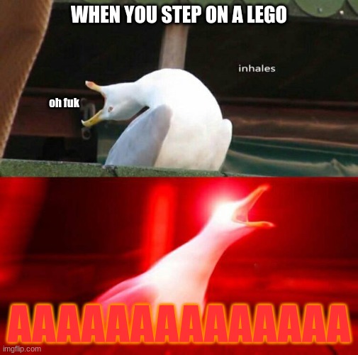 first meme submitted to the imgflip community | WHEN YOU STEP ON A LEGO; oh fuk; AAAAAAAAAAAAAA | image tagged in inhaling seagull | made w/ Imgflip meme maker
