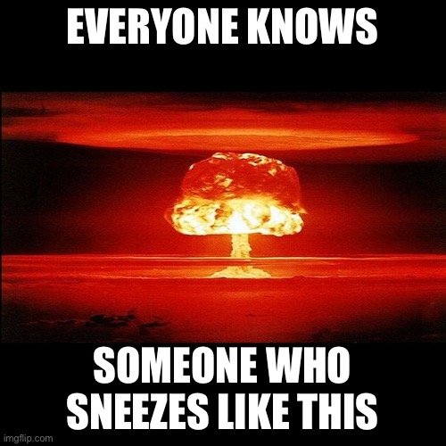 Mushroom Cloud | EVERYONE KNOWS SOMEONE WHO SNEEZES LIKE THIS | image tagged in mushroom cloud | made w/ Imgflip meme maker