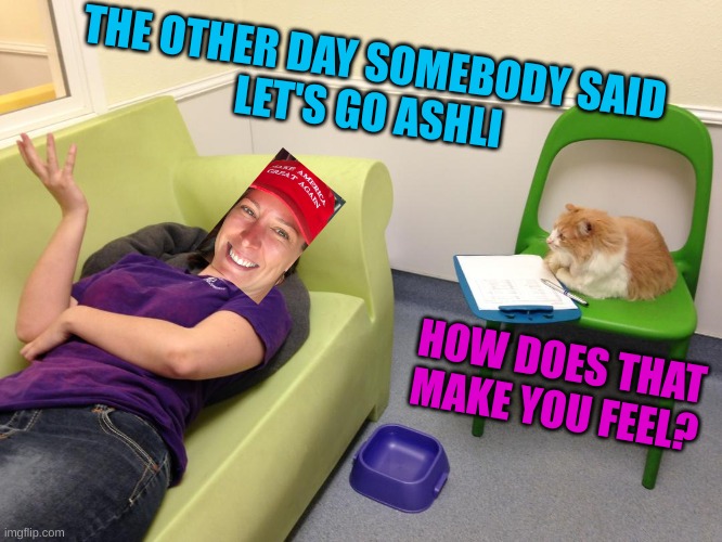 LGB | THE OTHER DAY SOMEBODY SAID
LET'S GO ASHLI; HOW DOES THAT MAKE YOU FEEL? | image tagged in therapist couch,ashli babbitt,saint,martyr,january 6,conservative hypocrisy | made w/ Imgflip meme maker