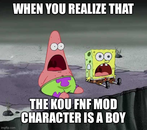 surprised SpongeBob and Patrick | WHEN YOU REALIZE THAT; THE KOU FNF MOD CHARACTER IS A BOY | image tagged in surprised spongebob and patrick | made w/ Imgflip meme maker