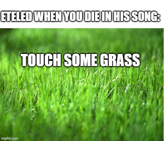 fnf meme lol | ETELED WHEN YOU DIE IN HIS SONG:; TOUCH SOME GRASS | image tagged in grass is greener | made w/ Imgflip meme maker