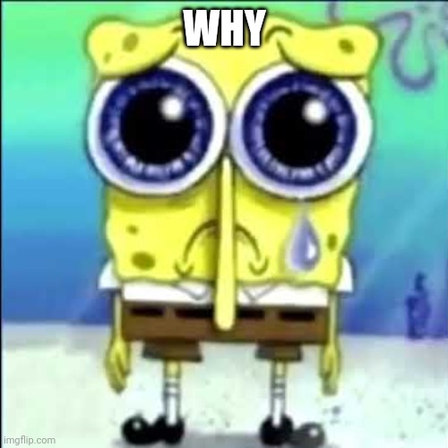 Sad Spongebob | WHY | image tagged in sad spongebob | made w/ Imgflip meme maker