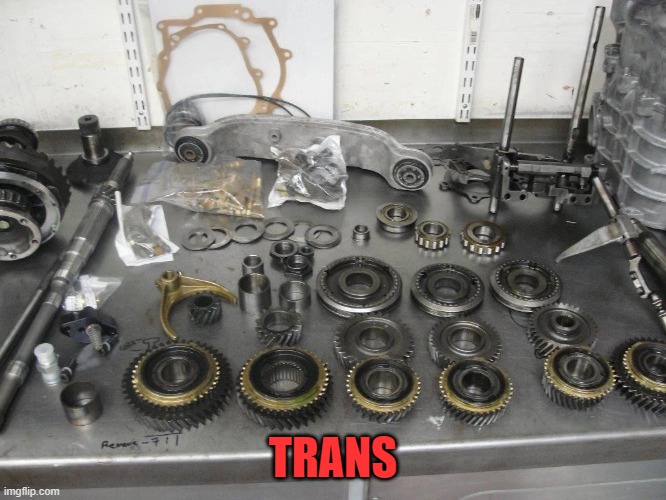 trannies | TRANS | image tagged in trannies | made w/ Imgflip meme maker