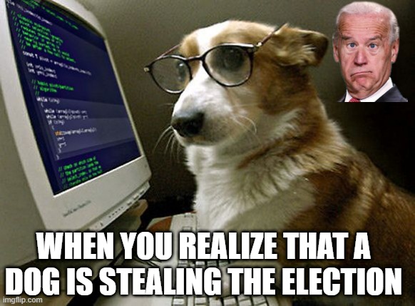 The Dogs Stole the Election | WHEN YOU REALIZE THAT A DOG IS STEALING THE ELECTION | image tagged in corgi hacker | made w/ Imgflip meme maker