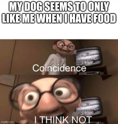 does my dog even like me | MY DOG SEEMS TO ONLY LIKE ME WHEN I HAVE FOOD | image tagged in coincidence i think not,doge,the incredibles,coincidence,like | made w/ Imgflip meme maker