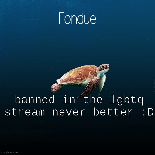 never better | banned in the lgbtq stream never better :D | image tagged in turtle template-fondue | made w/ Imgflip meme maker